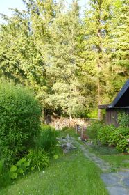 Blick zum Wald.jpg
