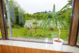 Blick aus dem Wintergarten 1.jpg
