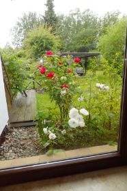 Blick aus dem Wintergarten 2.jpg