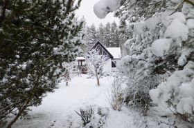 Winter 1.jpg