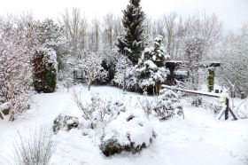 Winter 3.jpg