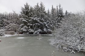Winter 4.jpg