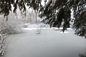 Winter 5.jpg