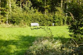 Platz im Kurwald.jpg